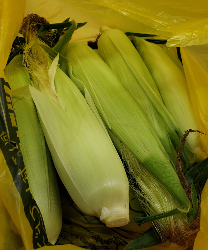 Corn