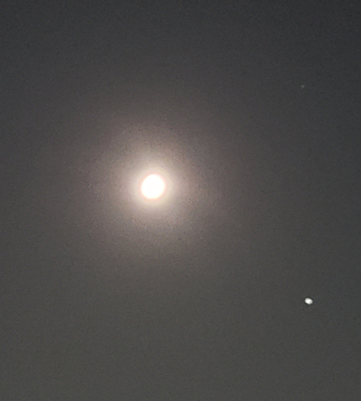 Moon8