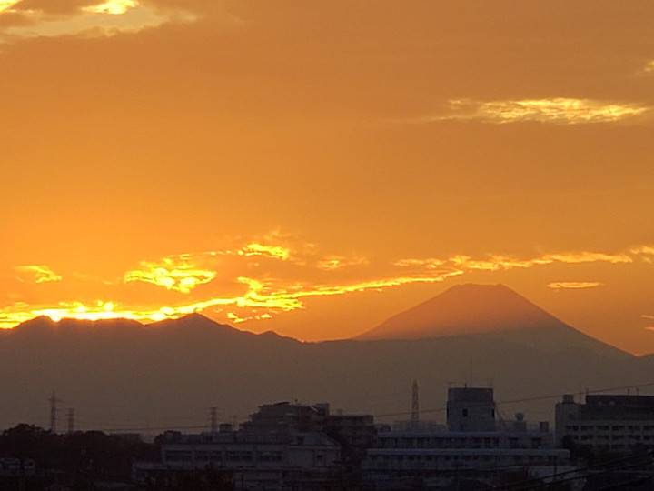 Cityfuji