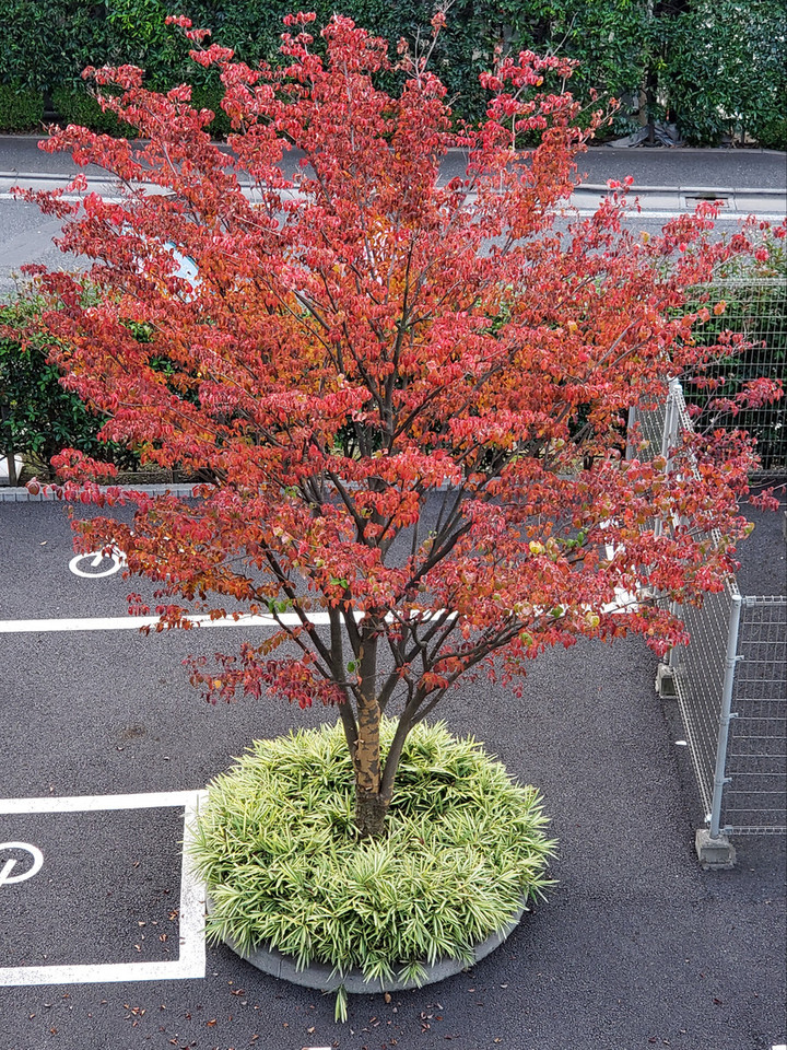 20191207_103821